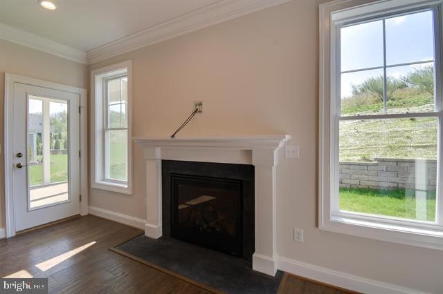 unfurnished living room featuring plenty of natural light, ornamental molding, and dark hardwood / wood-style flooring