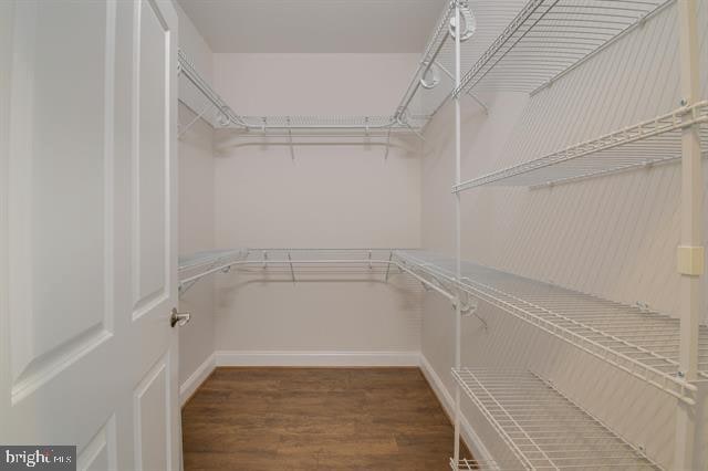 walk in closet with dark hardwood / wood-style floors