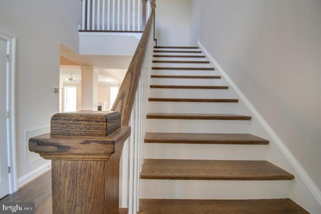 stairs with dark hardwood / wood-style flooring