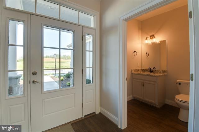 doorway with dark hardwood / wood-style flooring, sink, and a wealth of natural light