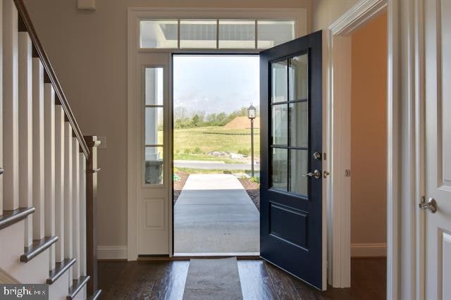 foyer featuring dark wood-type flooring