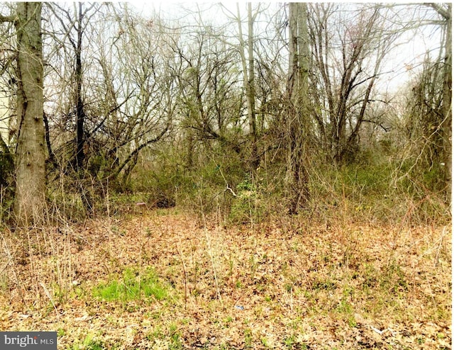 Address Not Disclosed, North East MD, 21901 land for sale