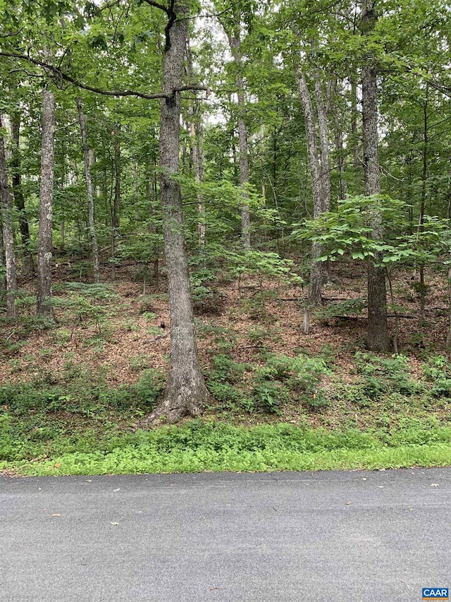 32 Laurel Rdg Unit 32, Wintergreen VA, 22958 land for sale