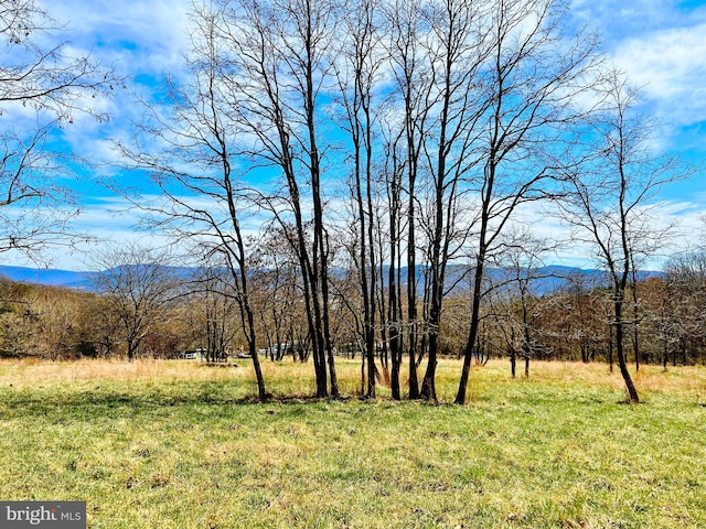 Listing photo 2 for 49ACRES Sunnyside Rd, Shenandoah VA 22849