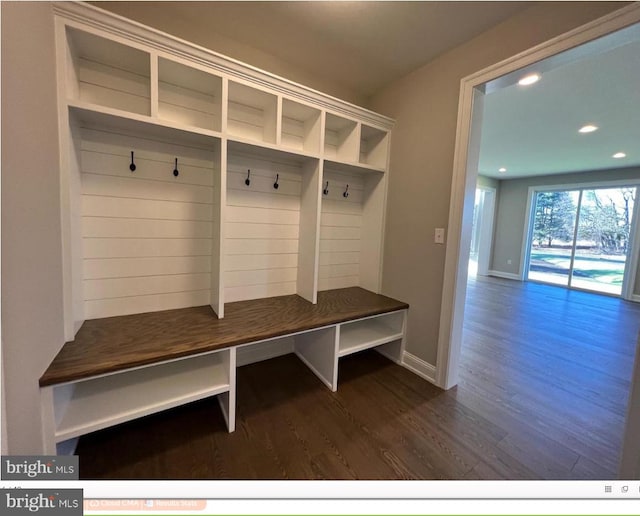 mudroom with dark hardwood / wood-style flooring