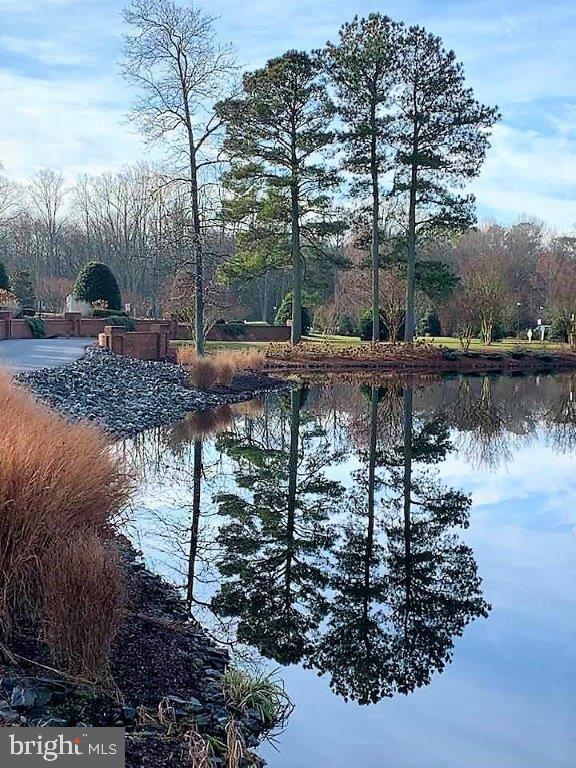 view of water feature