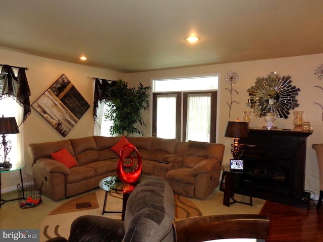 living room featuring hardwood / wood-style flooring