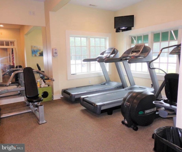 workout area featuring carpet floors