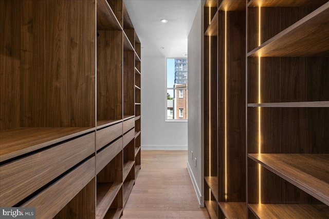 walk in closet with light wood-type flooring