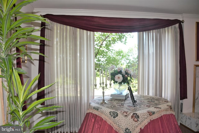 bedroom with crown molding