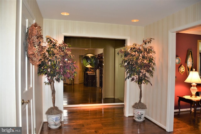 hall with dark hardwood / wood-style flooring