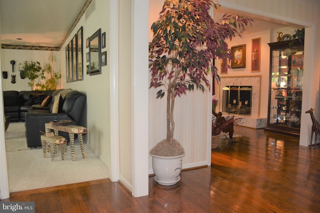 hall featuring dark wood-type flooring