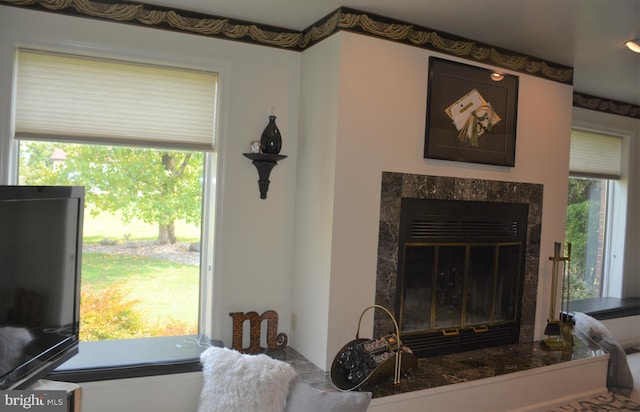 living room featuring plenty of natural light and a premium fireplace