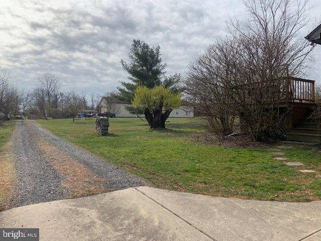 view of yard featuring a wooden deck