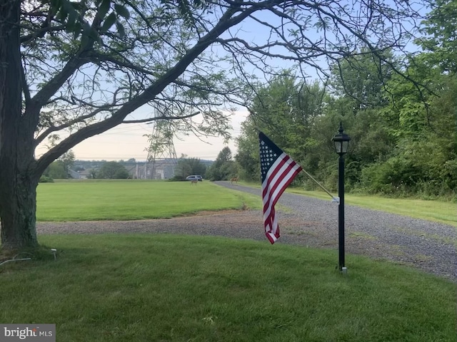 view of nearby features with a lawn