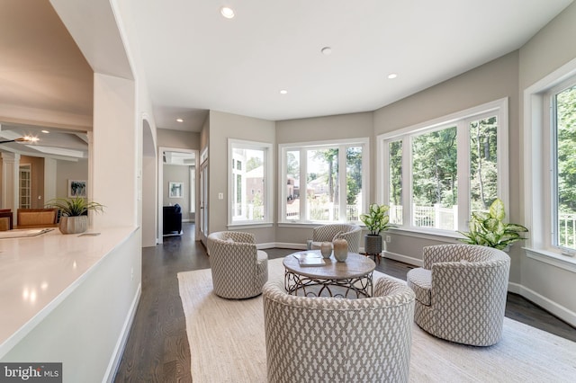 interior space with wood-type flooring and plenty of natural light