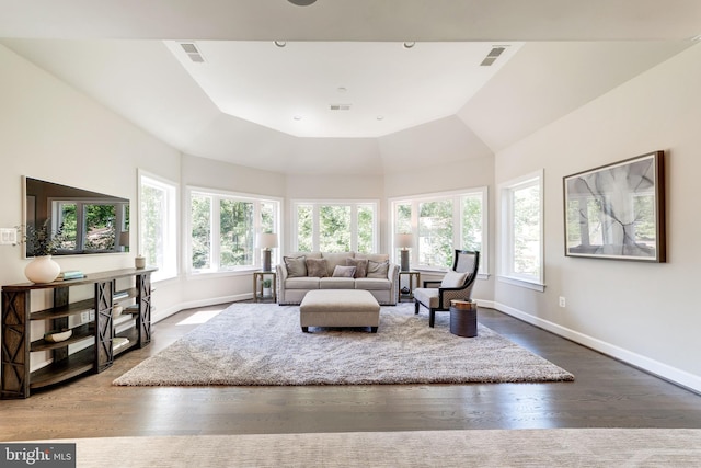 living room with a tray ceiling and dark hardwood / wood-style flooring