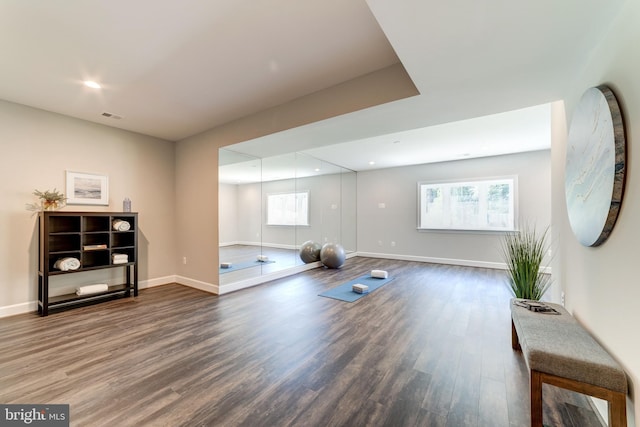 workout room with hardwood / wood-style floors