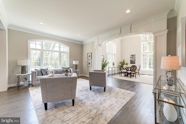 living room with wood-type flooring, decorative columns, and ornamental molding