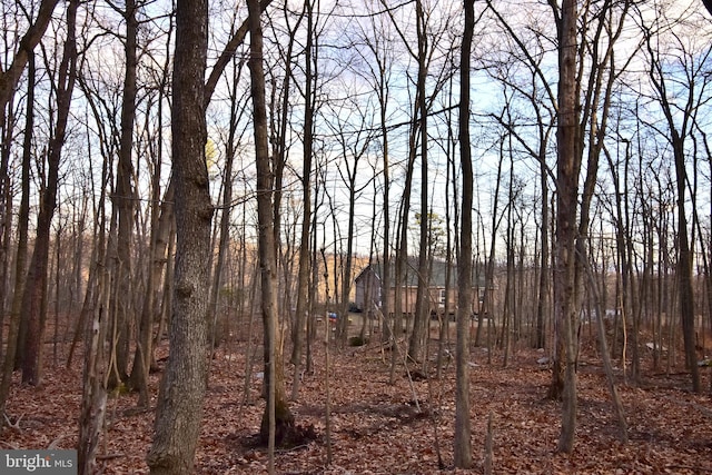 LOT17 Fox Trl, Winchester, VA 22602