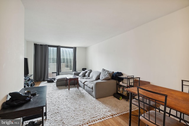 living room with light hardwood / wood-style floors