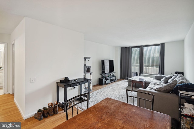 living room featuring light hardwood / wood-style floors