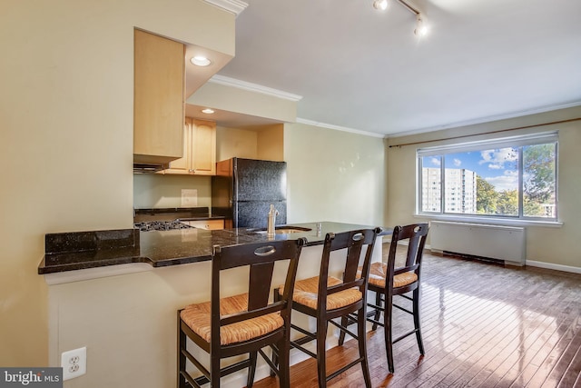 kitchen featuring black fridge, light hardwood / wood-style floors, track lighting, sink, and radiator heating unit