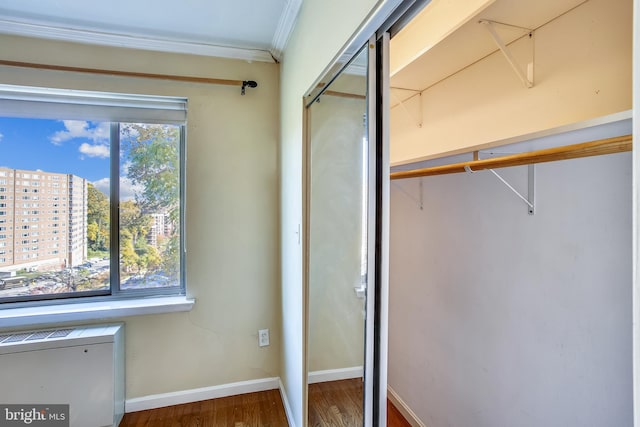 view of closet