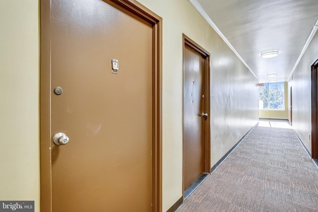 corridor with ornamental molding and carpet flooring