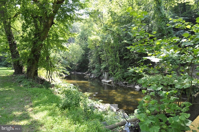 view of local wilderness featuring a water view