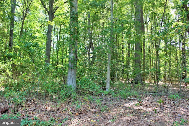 Long Leaf Ln, Leonardtown MD, 20650 land for sale