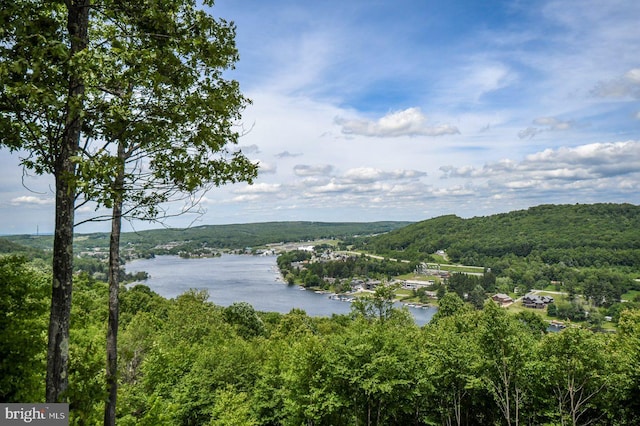 view of water view