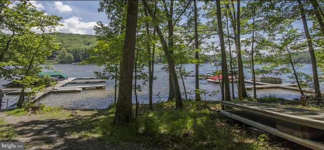 water view featuring a boat dock