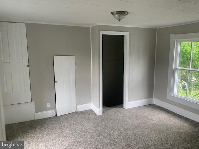 unfurnished bedroom featuring multiple windows and light colored carpet