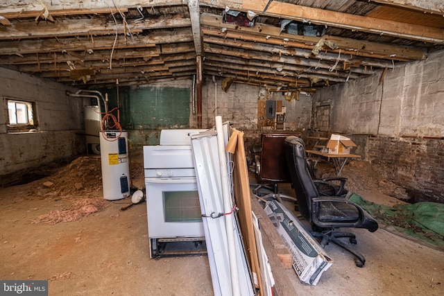 basement with electric water heater