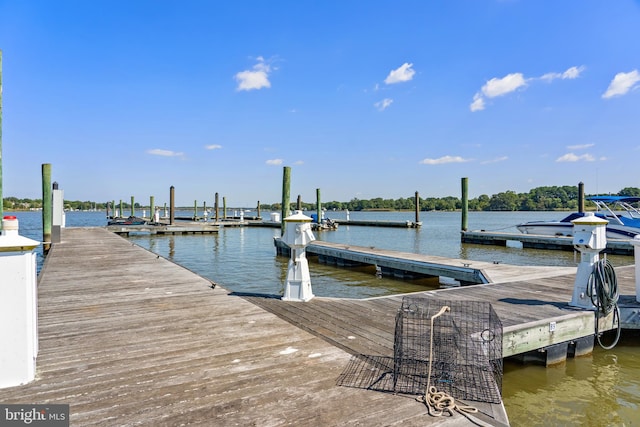 dock area featuring a water view