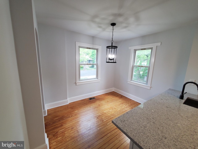 unfurnished dining area with light hardwood / wood-style flooring and plenty of natural light