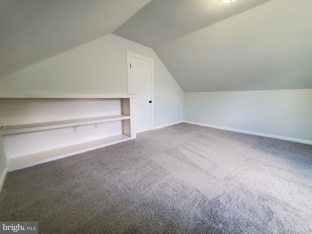 additional living space with carpet and vaulted ceiling