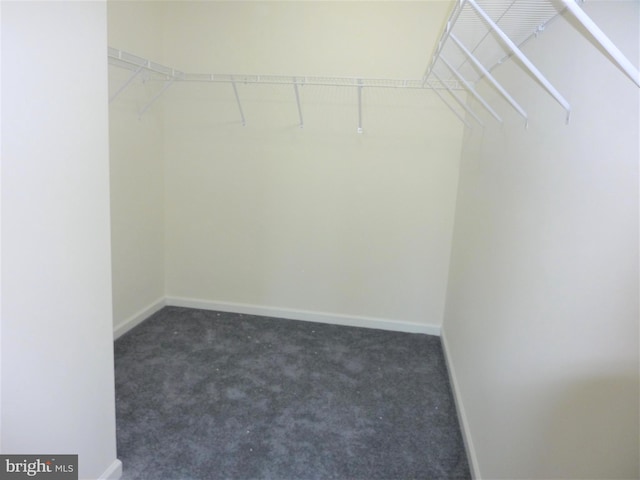 walk in closet with dark colored carpet