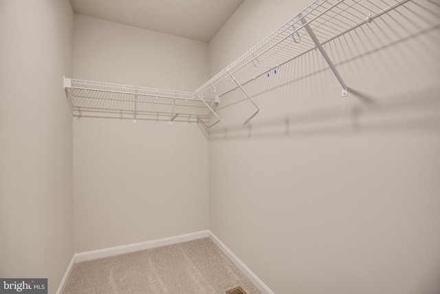 spacious closet with carpet