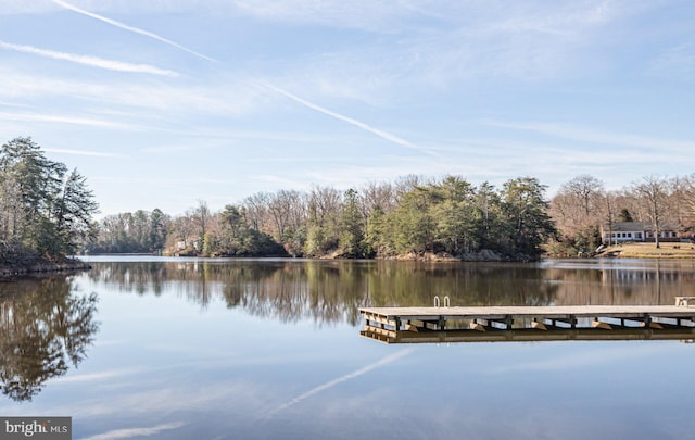 dock area featuring a water view