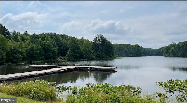 view of water feature featuring a dock