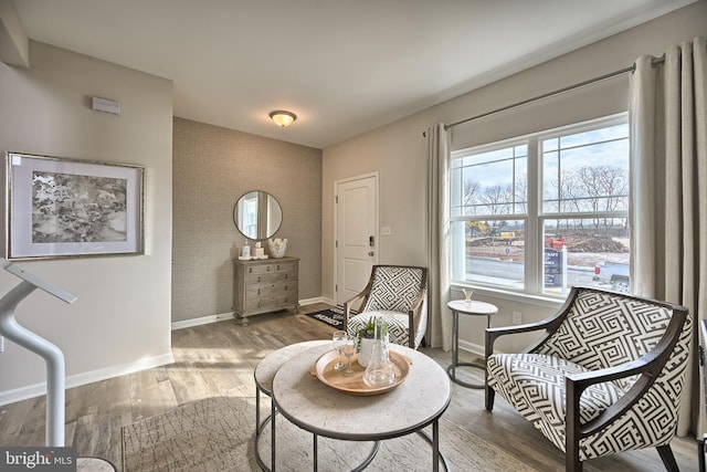 sitting room featuring hardwood / wood-style flooring