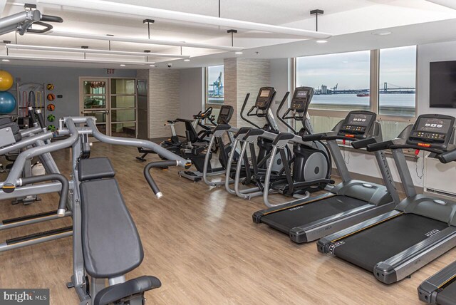 workout area featuring light hardwood / wood-style flooring