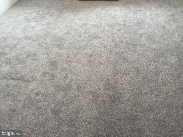 interior details featuring carpet floors