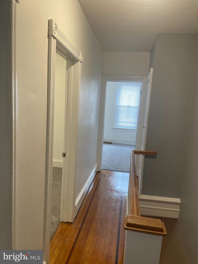 corridor featuring carpet floors