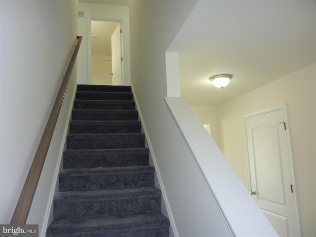 staircase featuring carpet floors