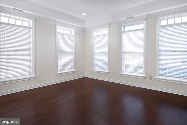 unfurnished room featuring plenty of natural light and dark wood-type flooring