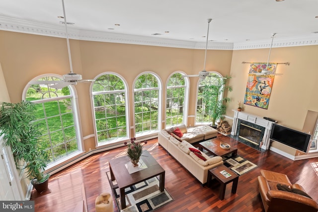 living room with a high ceiling, a premium fireplace, dark hardwood / wood-style floors, and crown molding