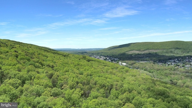 view of mountain feature